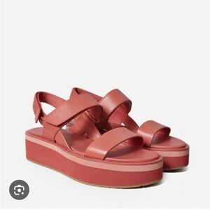 Everlane leather platform sandals